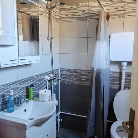 Tosic Etno Kamp Holiday home *