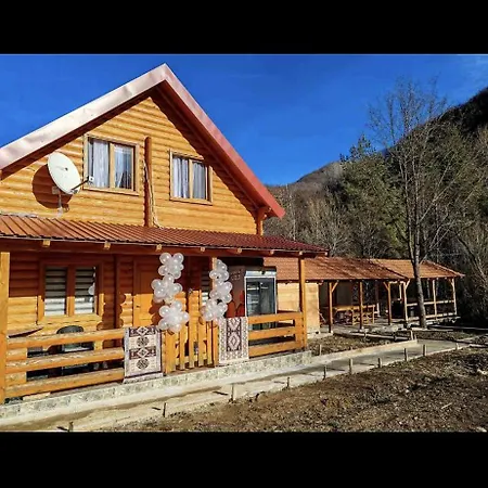 Tosic Etno Kamp Holiday home *
